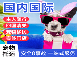 三义空运代理国际宠物托运 【国